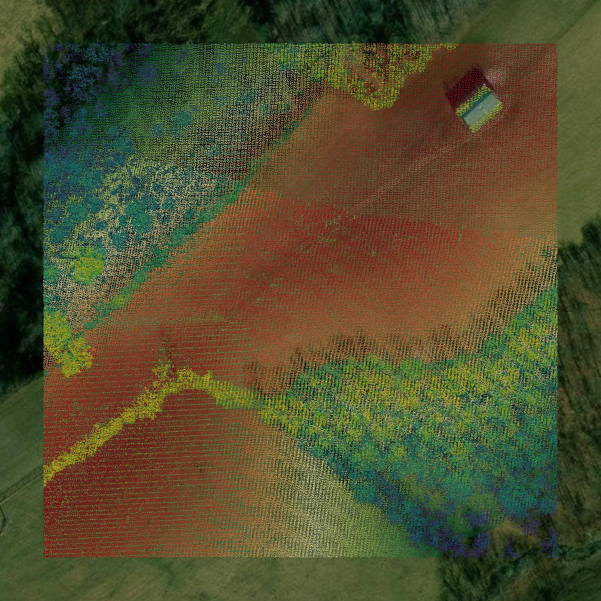 This image shows a LiDAR point cloud in Bracken County created using GIS data in Equator.