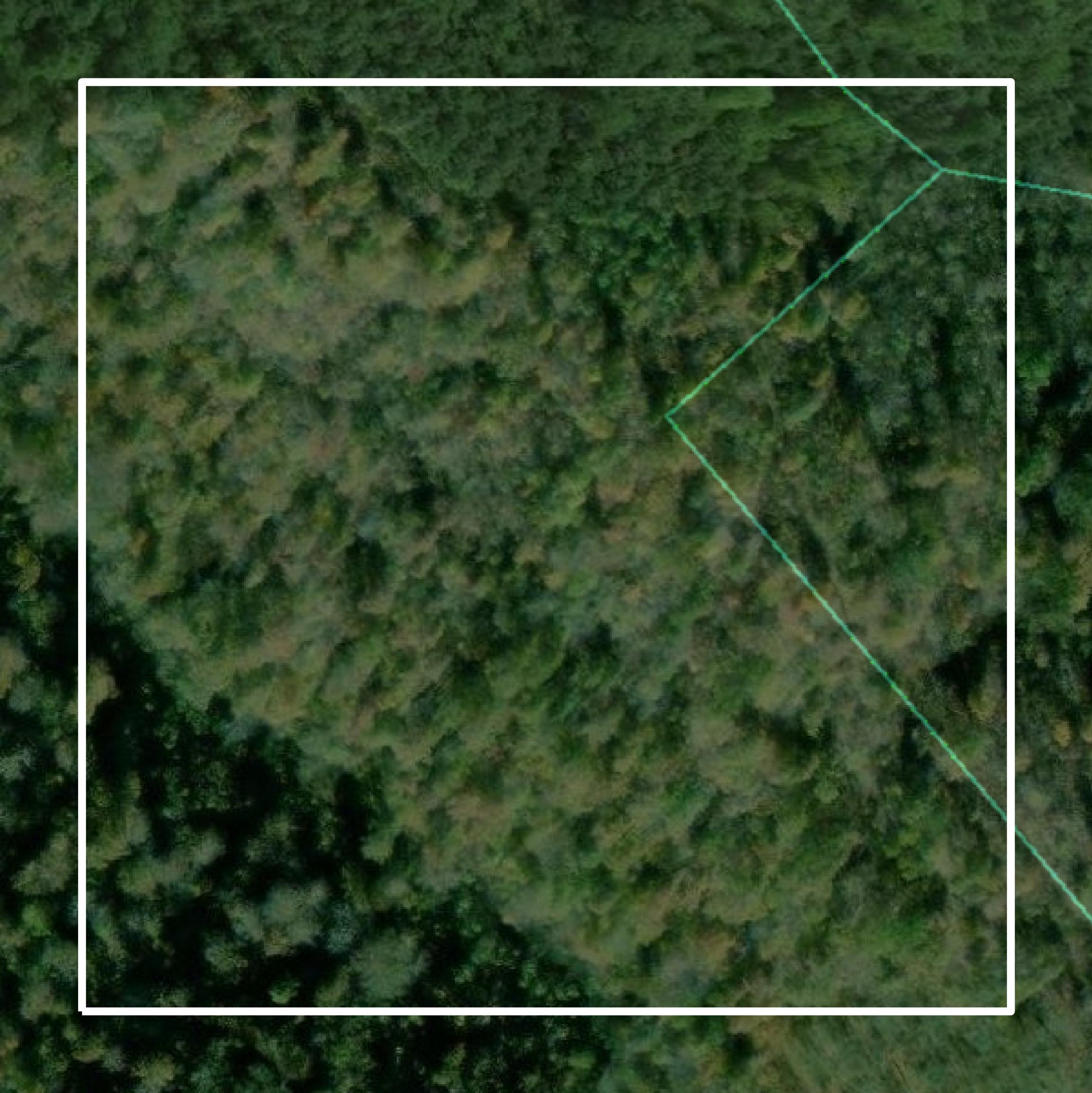 This image shows parcel and building data in Breathitt County created using GIS data in Equator.