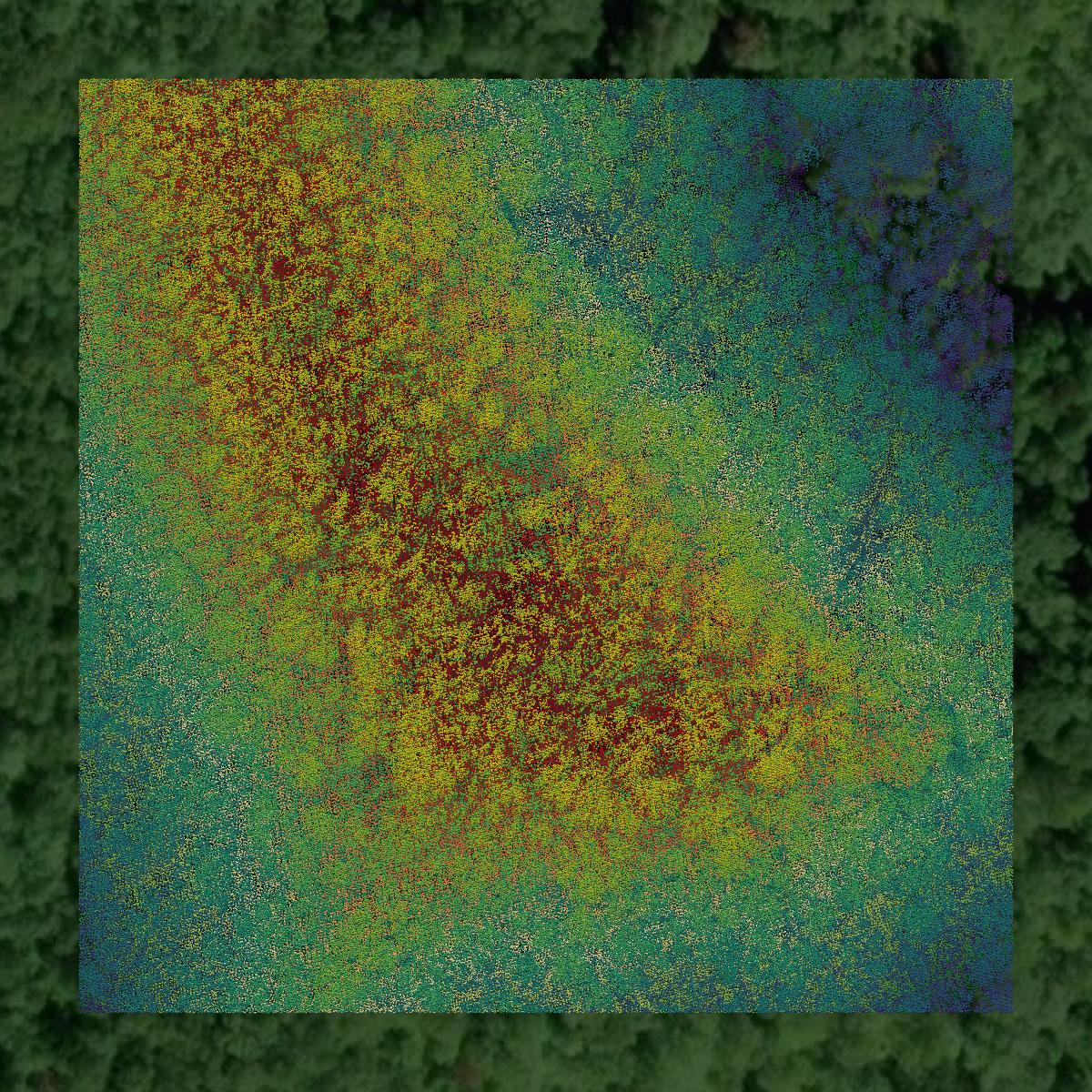 This image shows a LiDAR point cloud in Breathitt County created using GIS data in Equator.