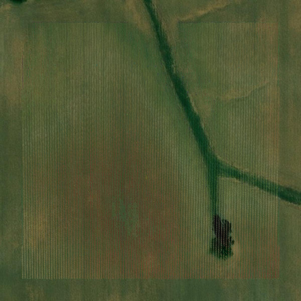 This image shows a LiDAR point cloud in Calloway County created using GIS data in Equator.