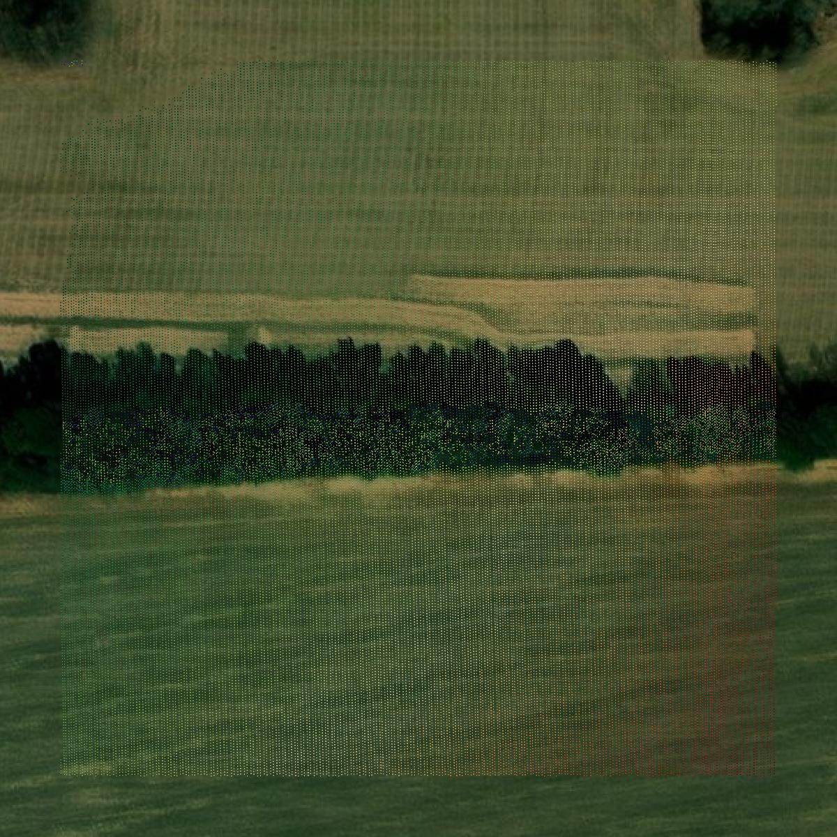 This image shows a LiDAR point cloud in Calloway County created using GIS data in Equator.
