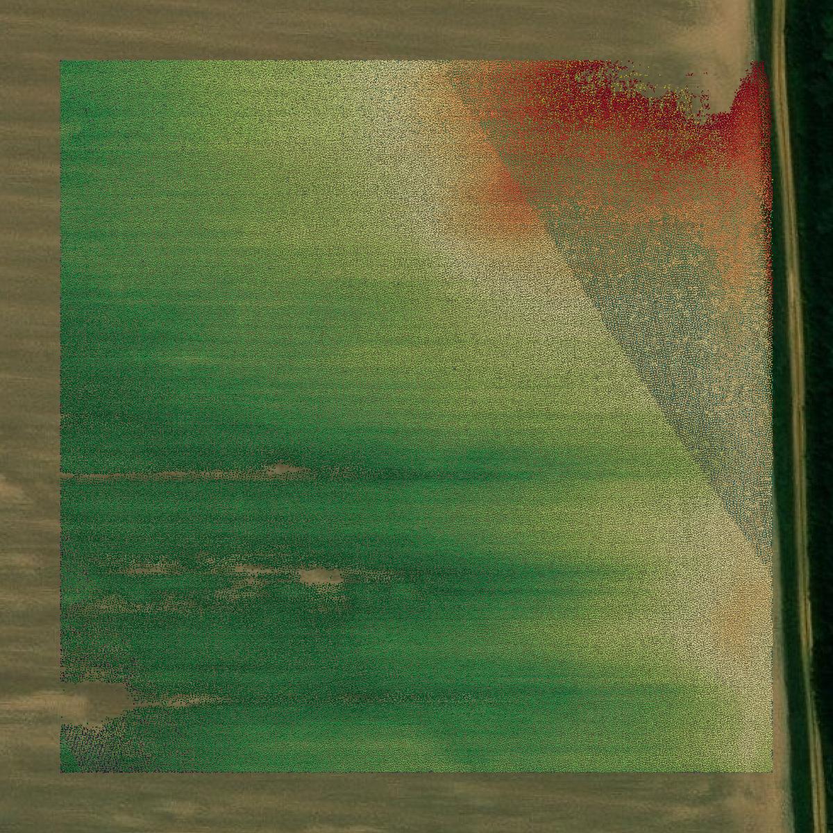 This image shows a LiDAR point cloud in Carlisle County created using GIS data in Equator.