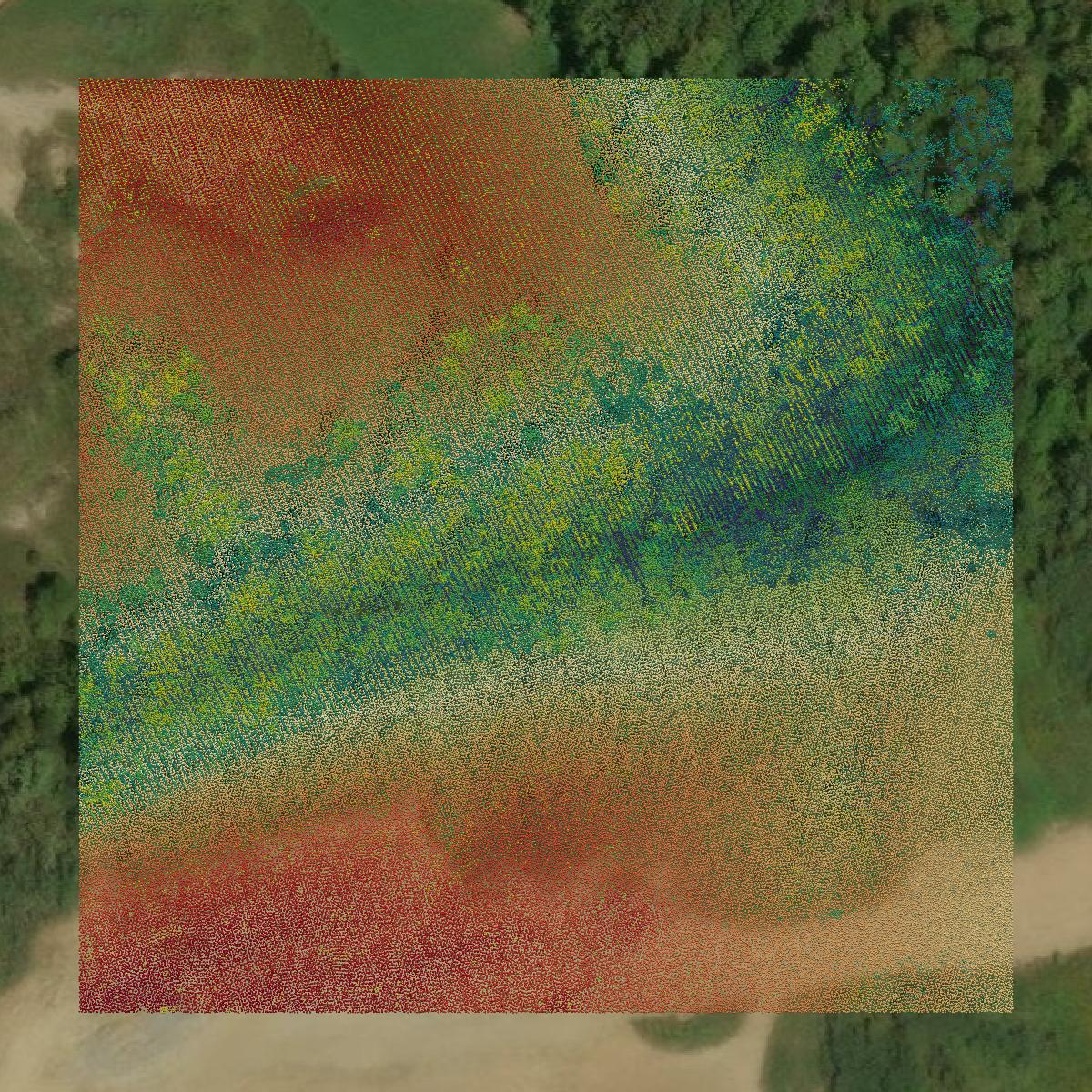 This image shows a LiDAR point cloud in Carroll County created using GIS data in Equator.