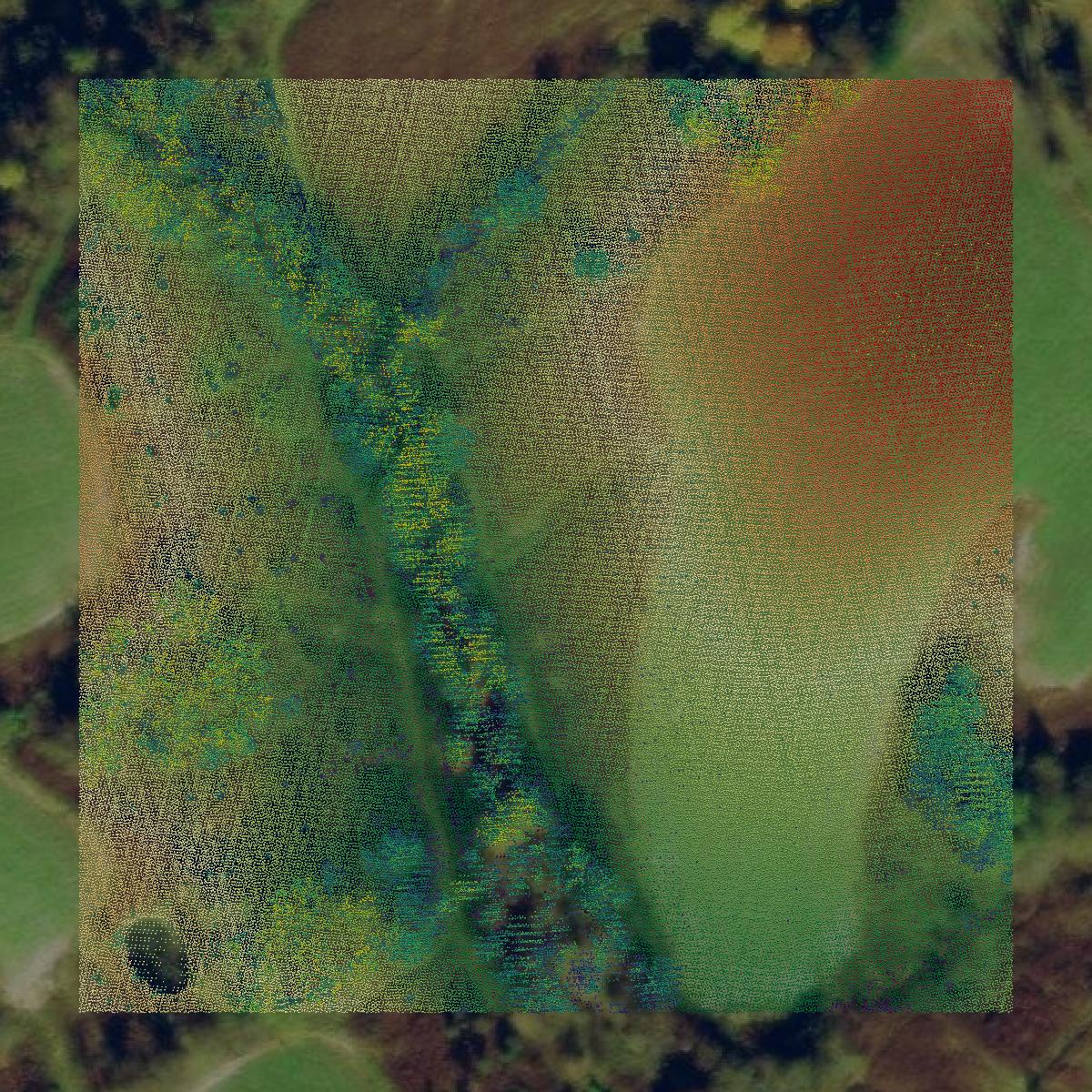 This image shows a LiDAR point cloud in Carroll County created using GIS data in Equator.