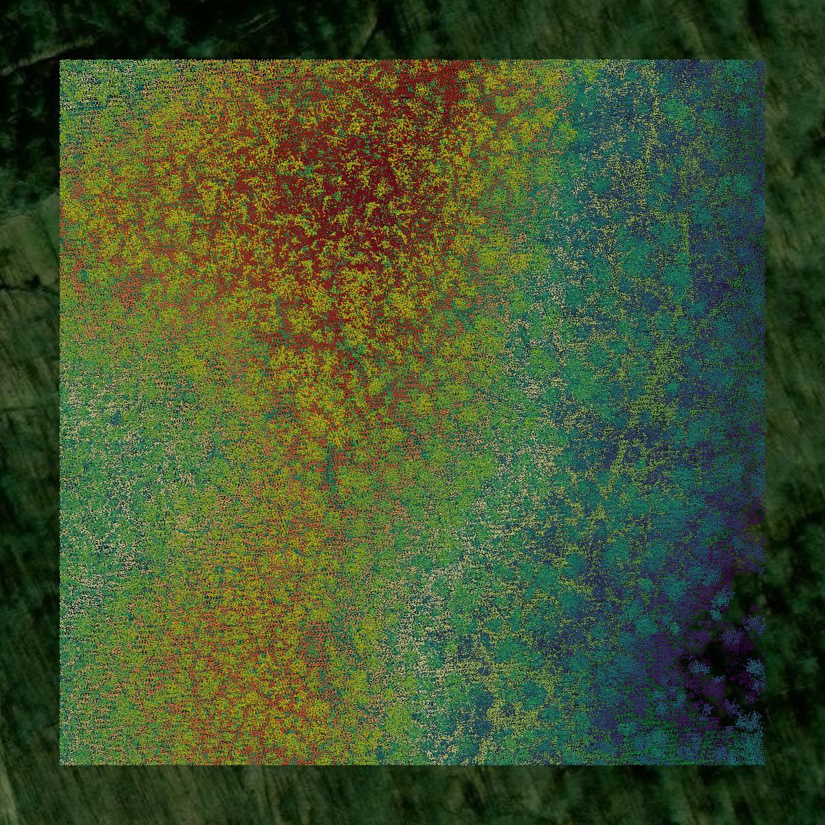 This image shows a LiDAR point cloud in Carter County created using GIS data in Equator.