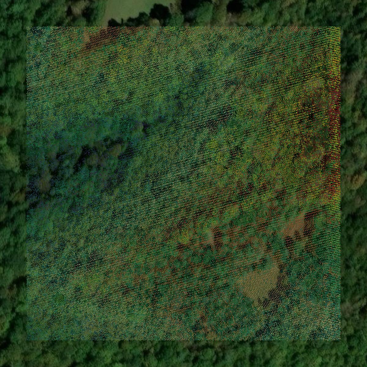 This image shows a LiDAR point cloud in Carter County created using GIS data in Equator.