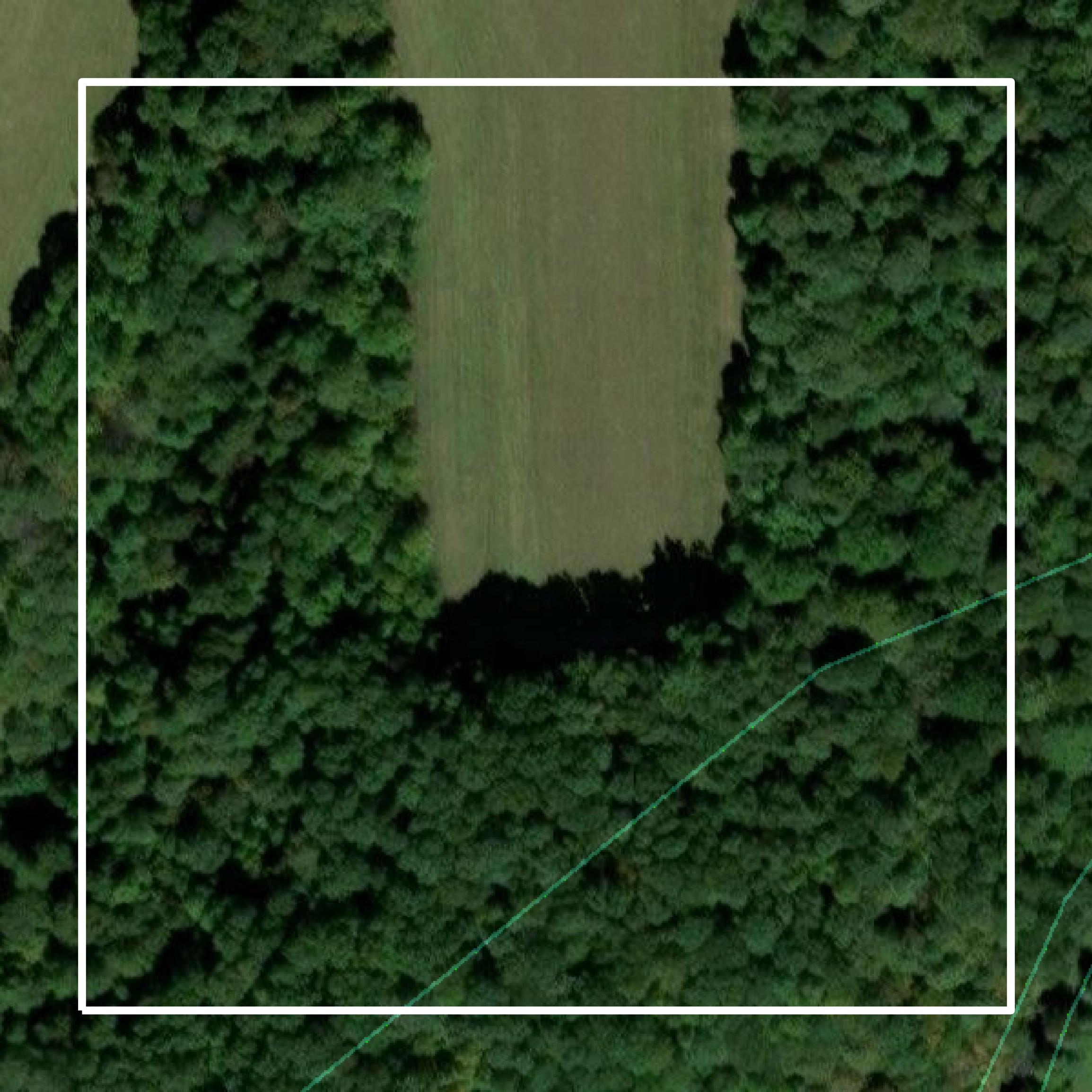 This image shows parcel and building data in Casey County created using GIS data in Equator.