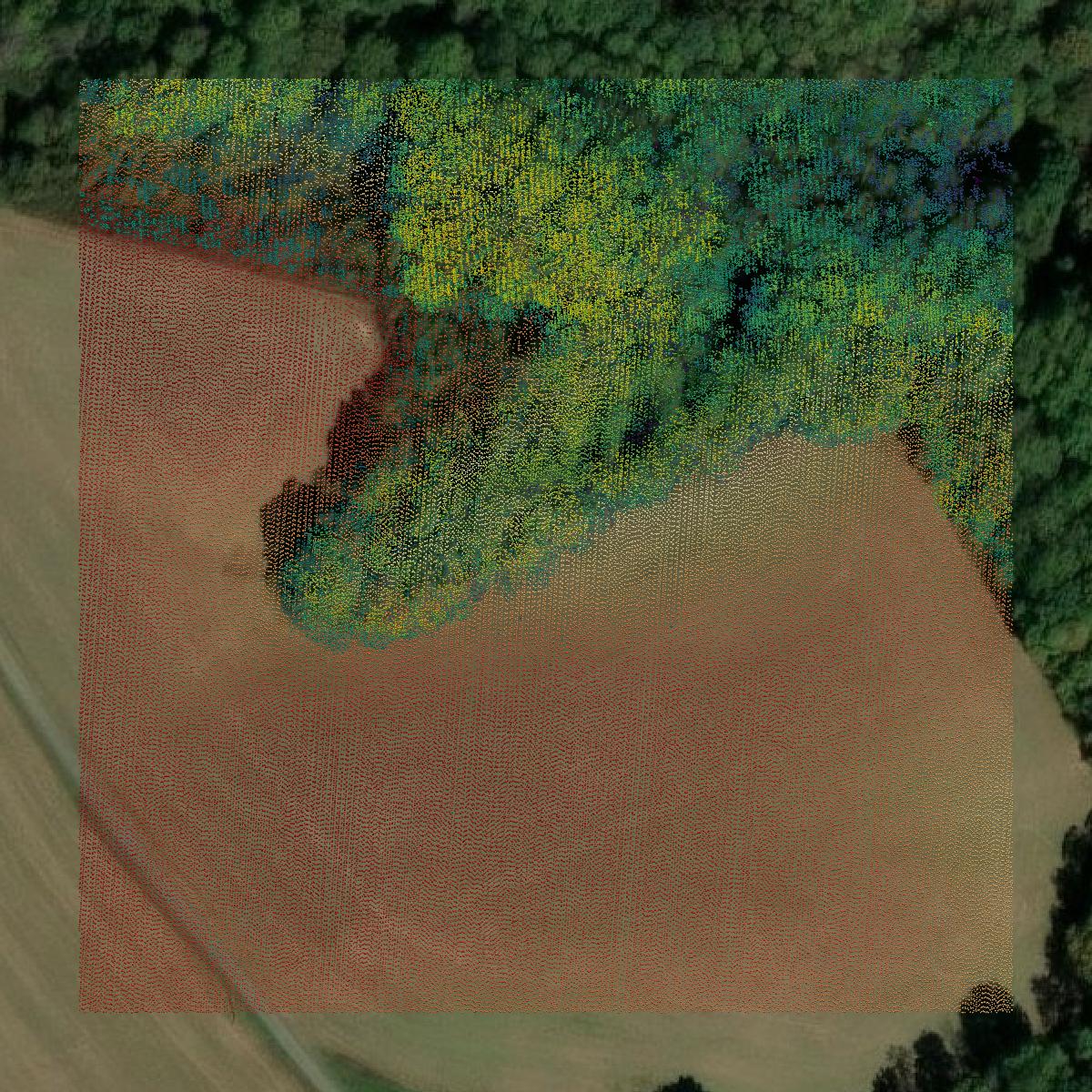 This image shows a LiDAR point cloud in Casey County created using GIS data in Equator.