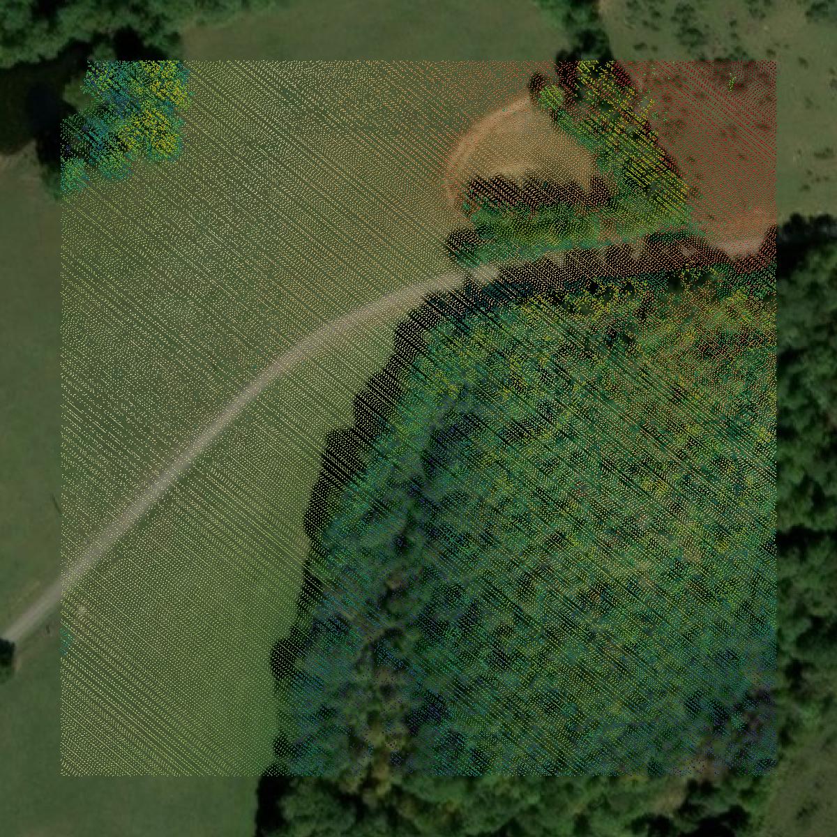 This image shows a LiDAR point cloud in Casey County created using GIS data in Equator.