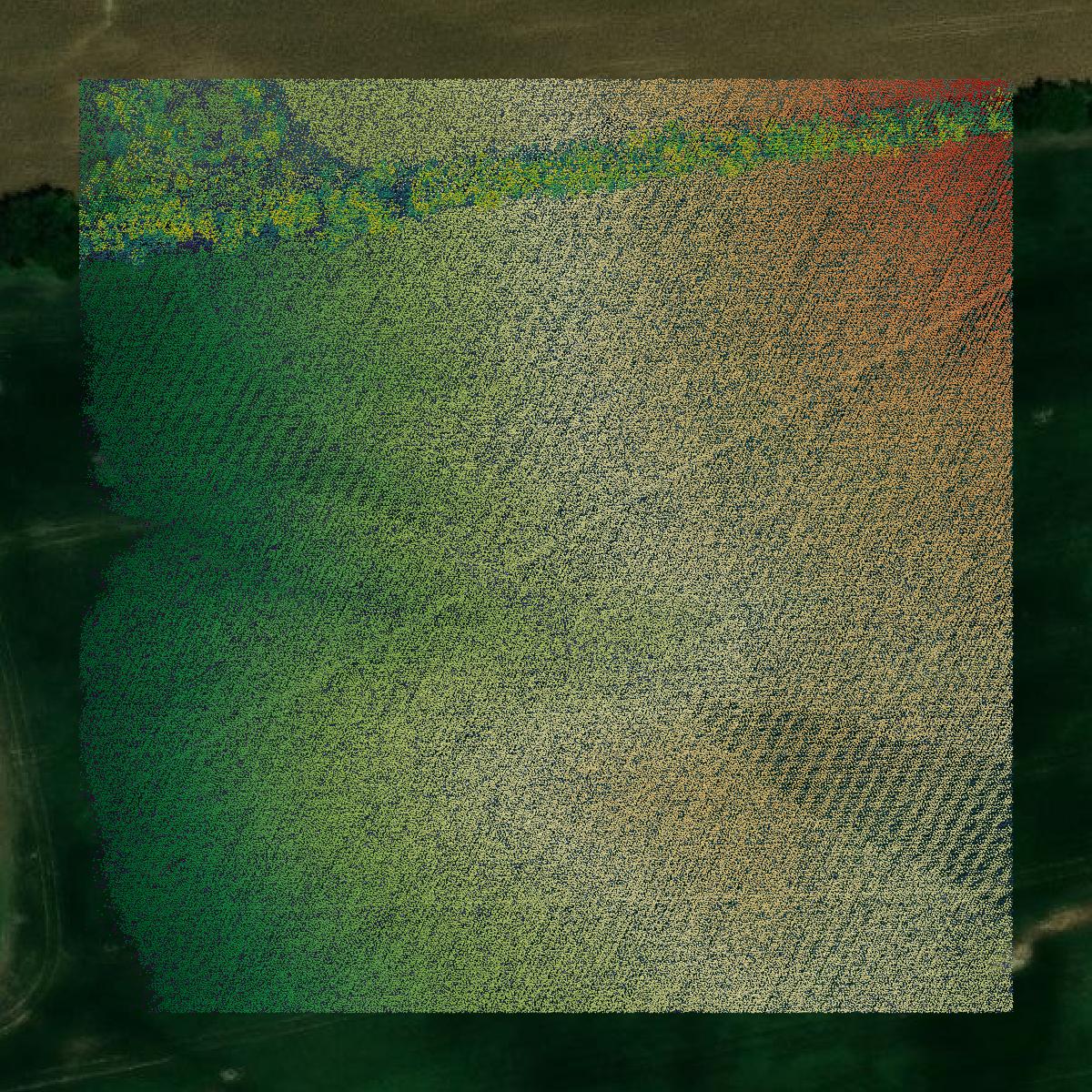 This image shows a LiDAR point cloud in Christian County created using GIS data in Equator.