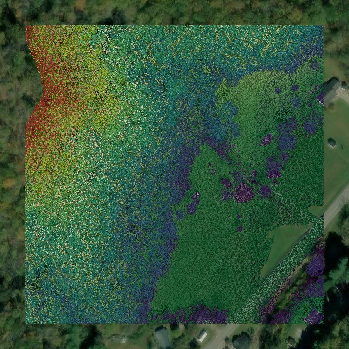 This image shows a LiDAR point cloud in Clay County created using GIS data in Equator.