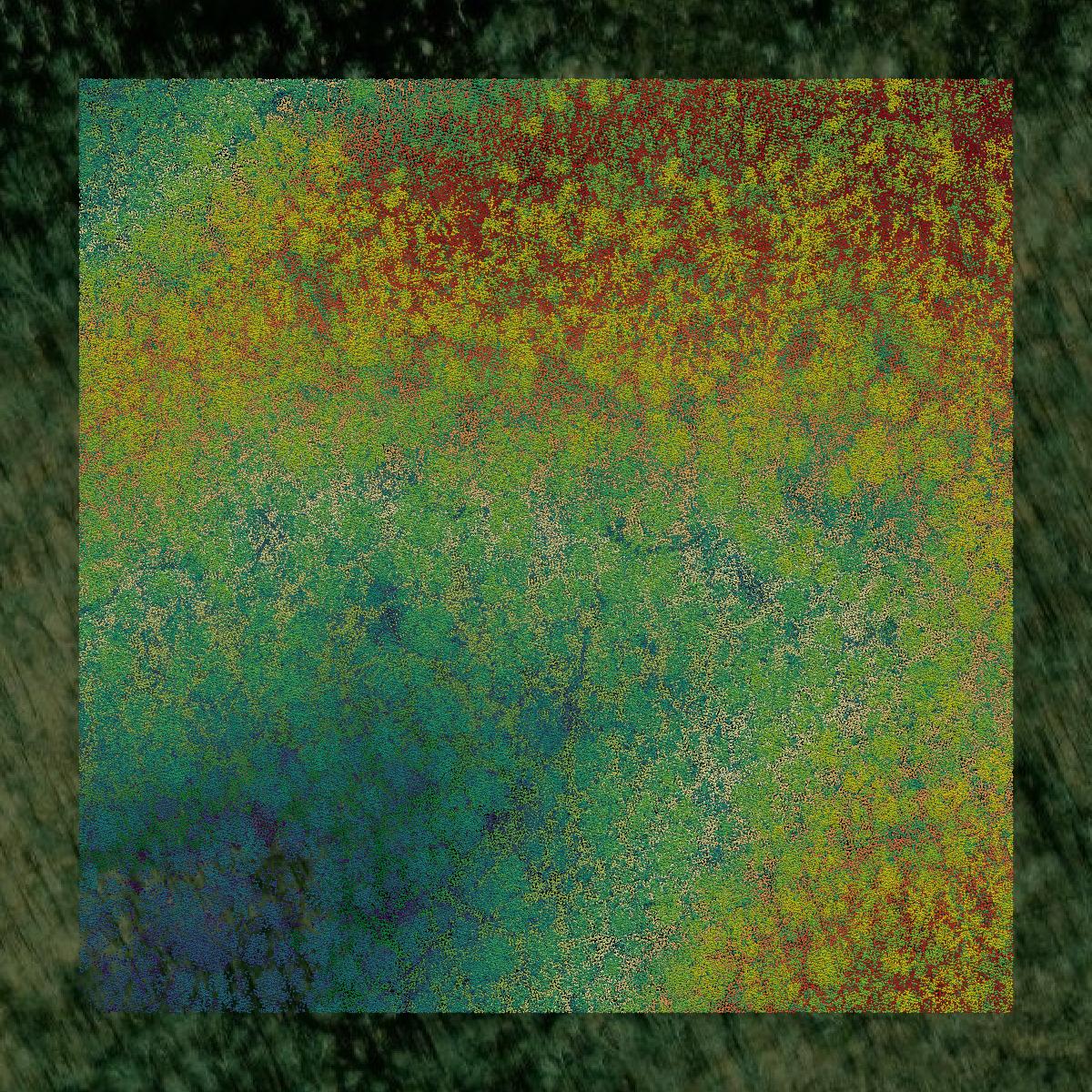 This image shows a LiDAR point cloud in Clay County created using GIS data in Equator.