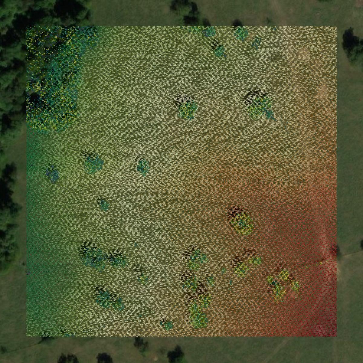 This image shows a LiDAR point cloud in Crittenden County created using GIS data in Equator.
