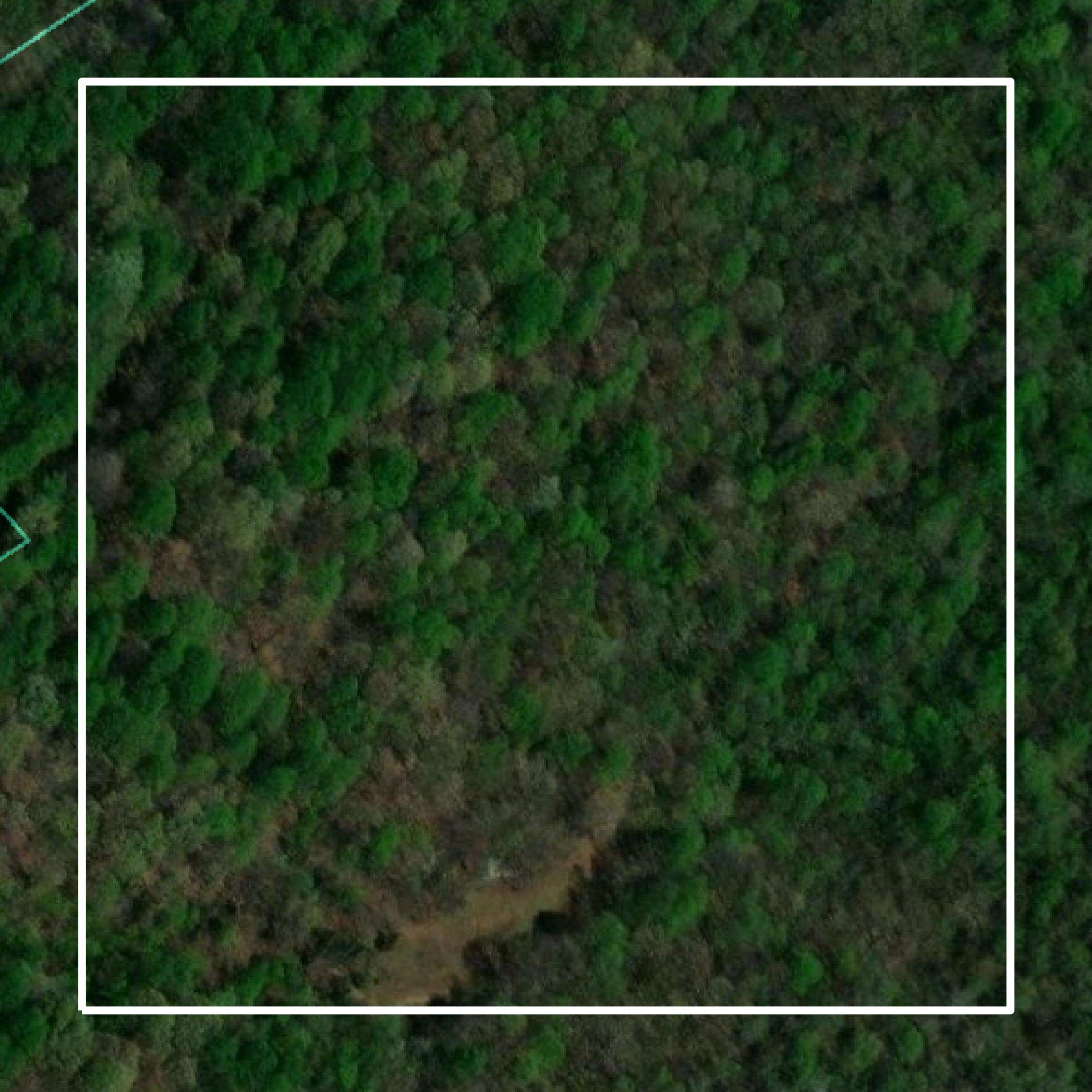 This image shows parcel and building data in Daviess County created using GIS data in Equator.