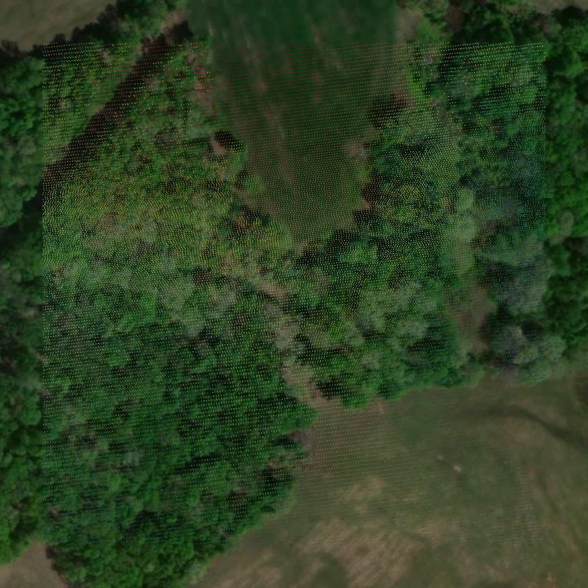 This image shows a LiDAR point cloud in Edmonson County created using GIS data in Equator.
