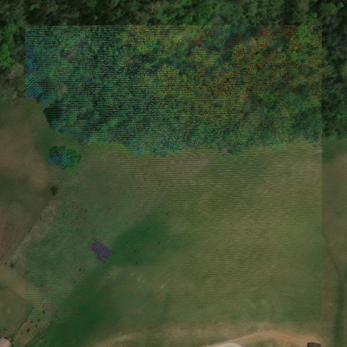 This image shows a LiDAR point cloud in Edmonson County created using GIS data in Equator.