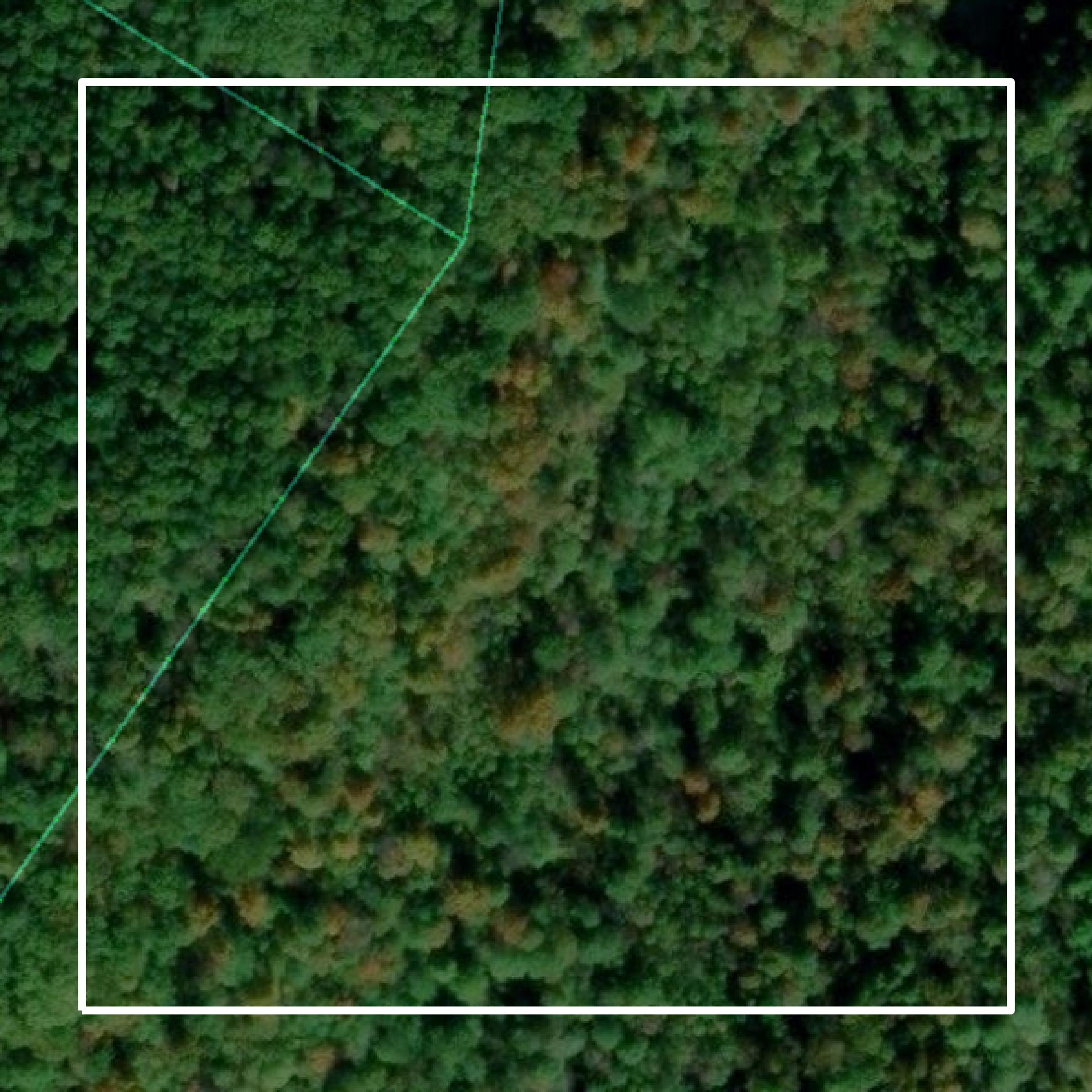This image shows parcel and building data in Estill County created using GIS data in Equator.
