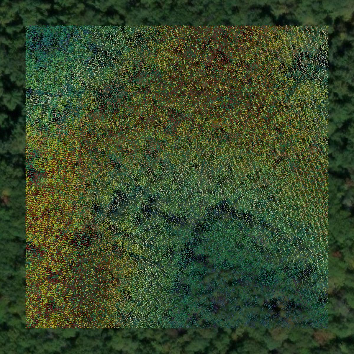 This image shows a LiDAR point cloud in Estill County created using GIS data in Equator.