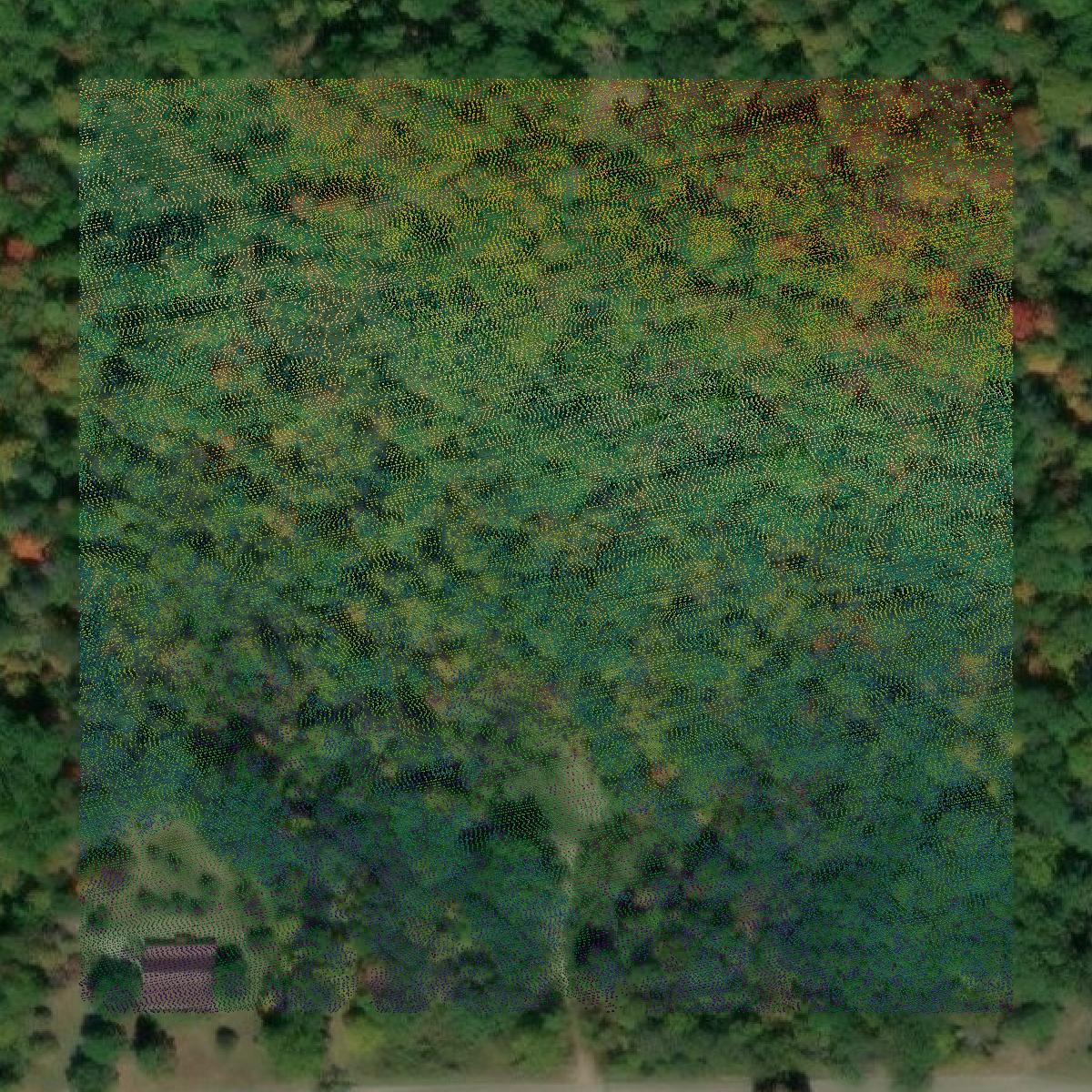 This image shows a LiDAR point cloud in Estill County created using GIS data in Equator.