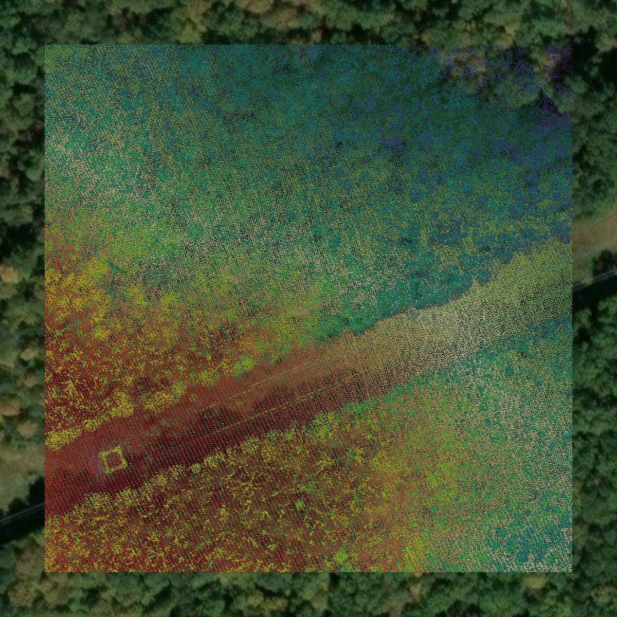 This image shows a LiDAR point cloud in Gallatin County created using GIS data in Equator.