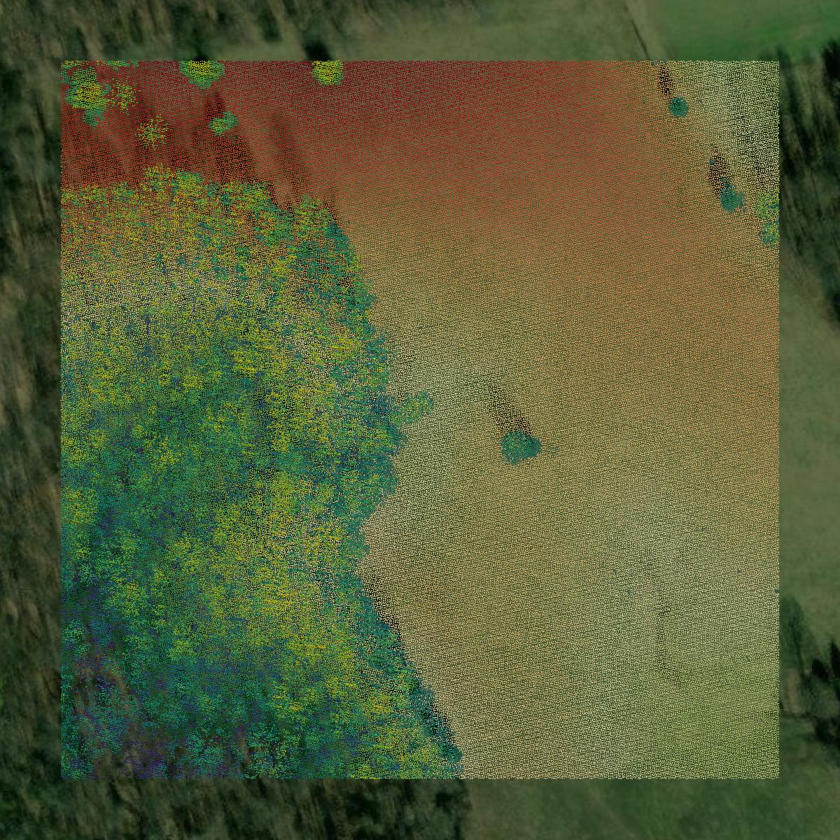 This image shows a LiDAR point cloud in Grayson County created using GIS data in Equator.