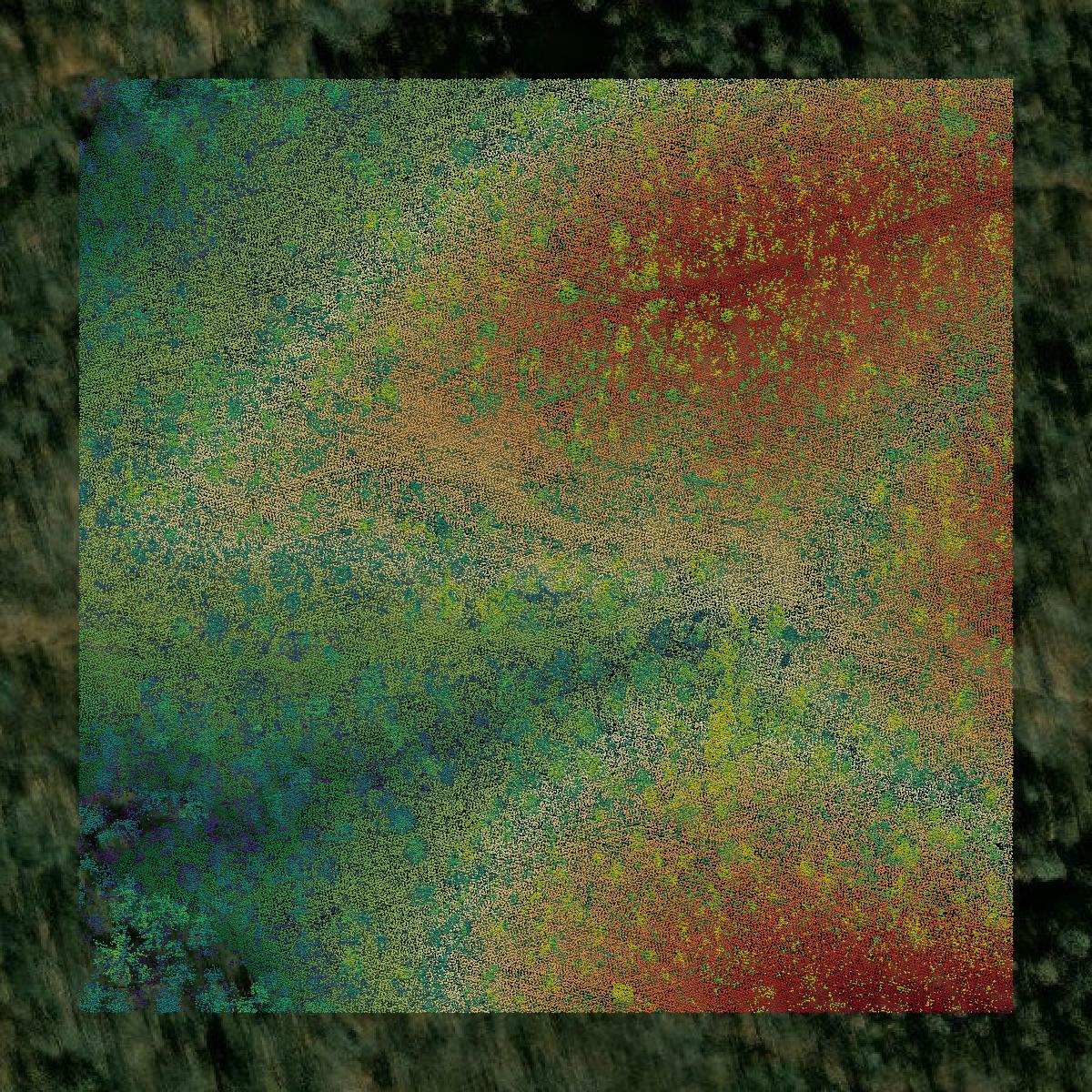 This image shows a LiDAR point cloud in Grayson County created using GIS data in Equator.