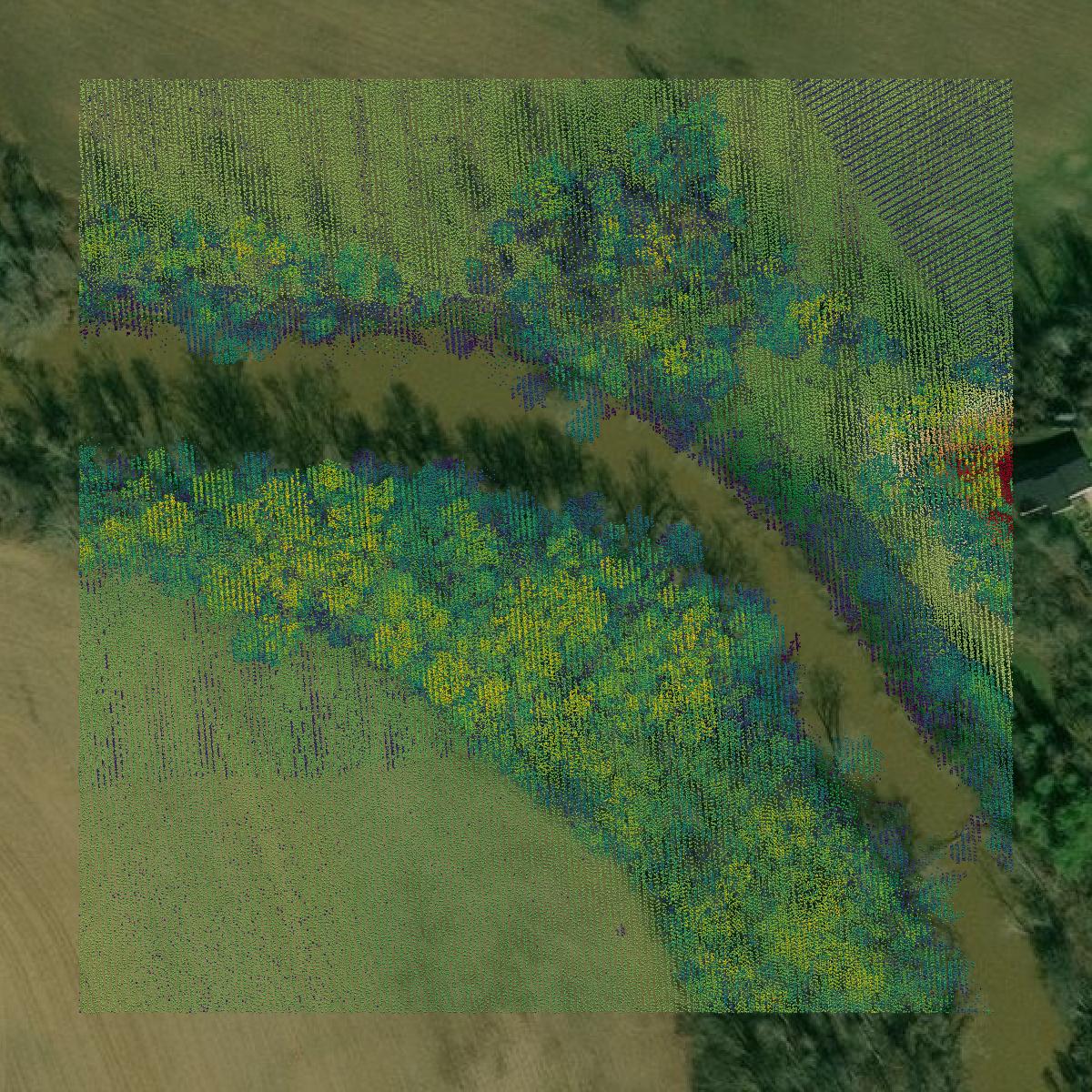 This image shows a LiDAR point cloud in Greenup County created using GIS data in Equator.