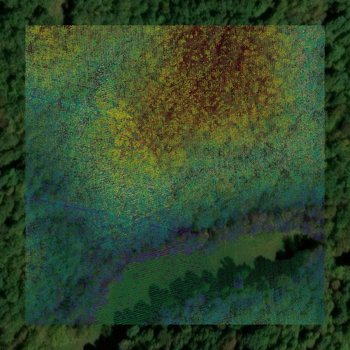 This image shows a LiDAR point cloud in Greenup County created using GIS data in Equator.