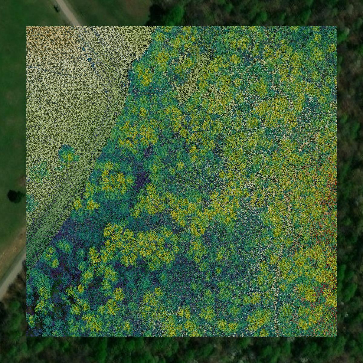 This image shows a LiDAR point cloud in Hancock County created using GIS data in Equator.