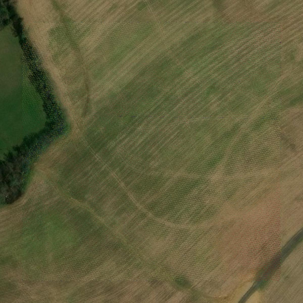 This image shows a LiDAR point cloud in Harrison County created using GIS data in Equator.