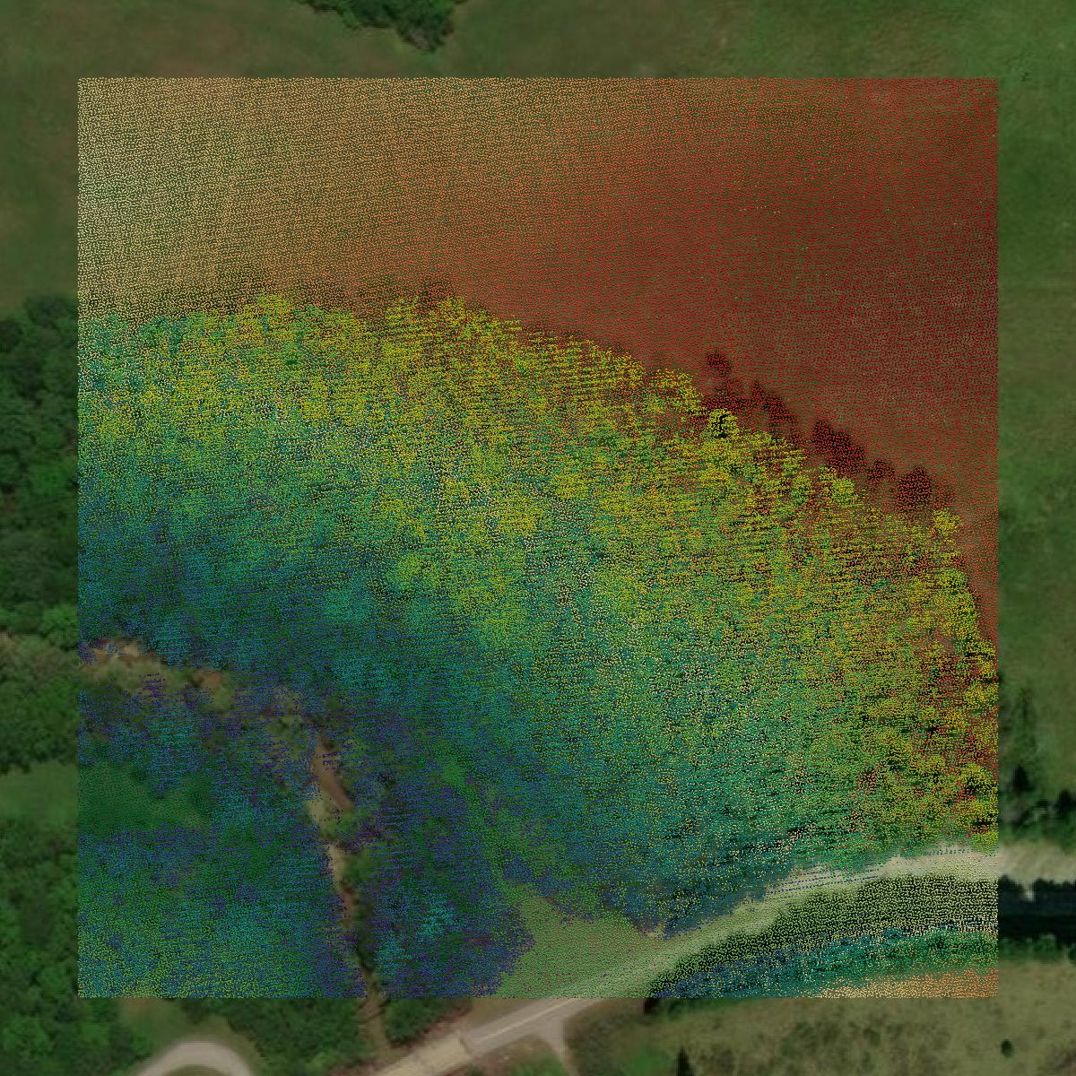 This image shows a LiDAR point cloud in Henry County created using GIS data in Equator.
