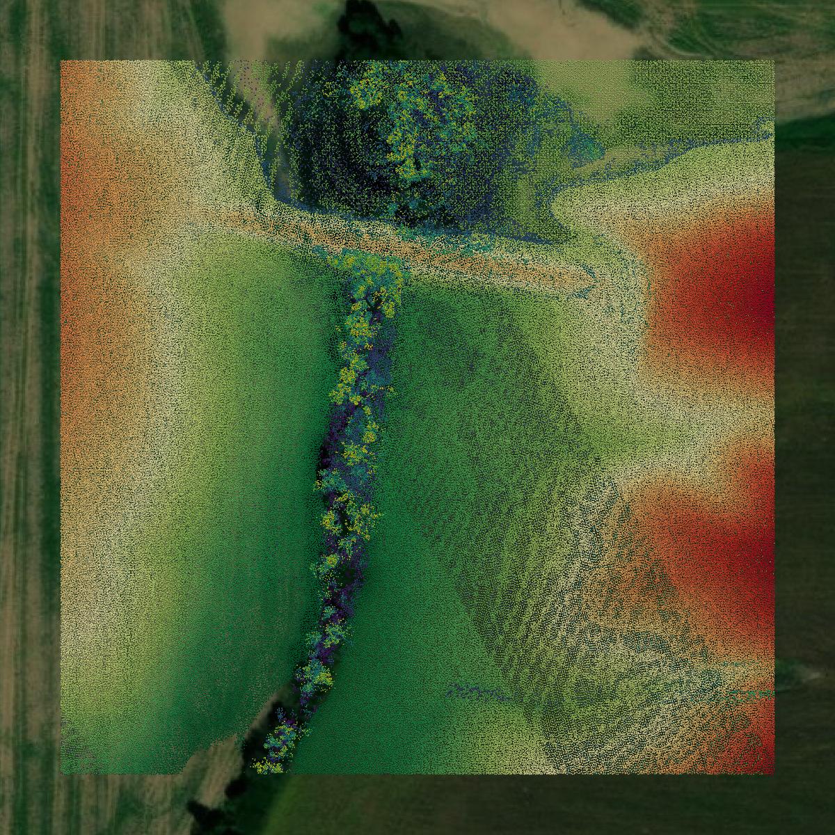 This image shows a LiDAR point cloud in Hickman County created using GIS data in Equator.