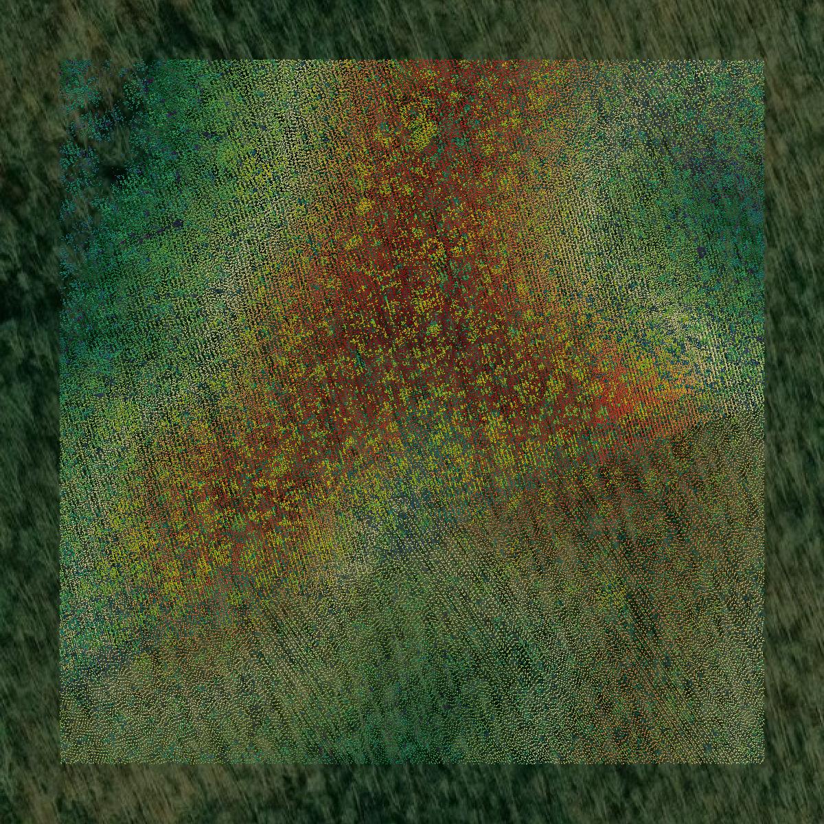 This image shows a LiDAR point cloud in Jackson County created using GIS data in Equator.