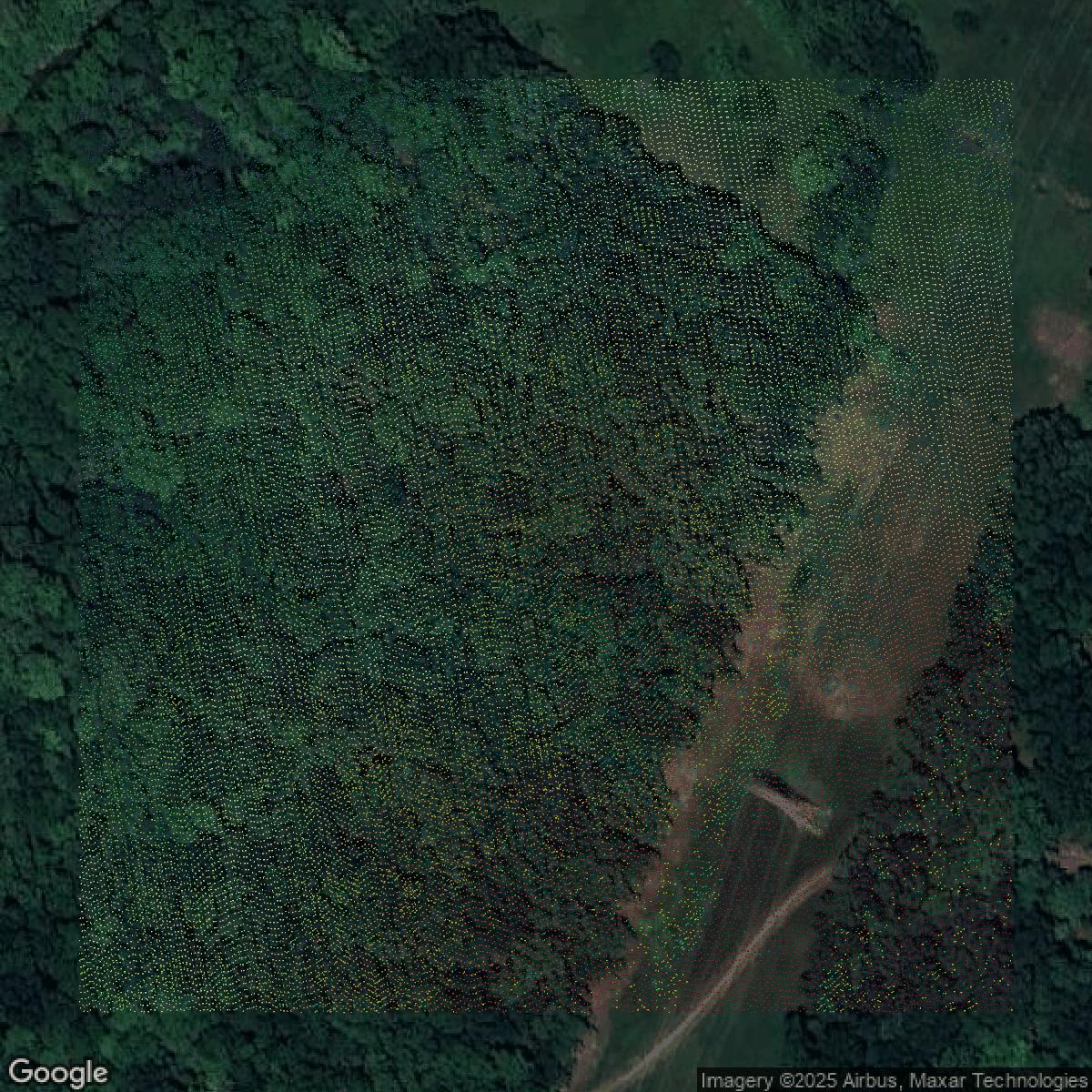 This image shows a LiDAR point cloud in Jefferson County created using GIS data in Equator.