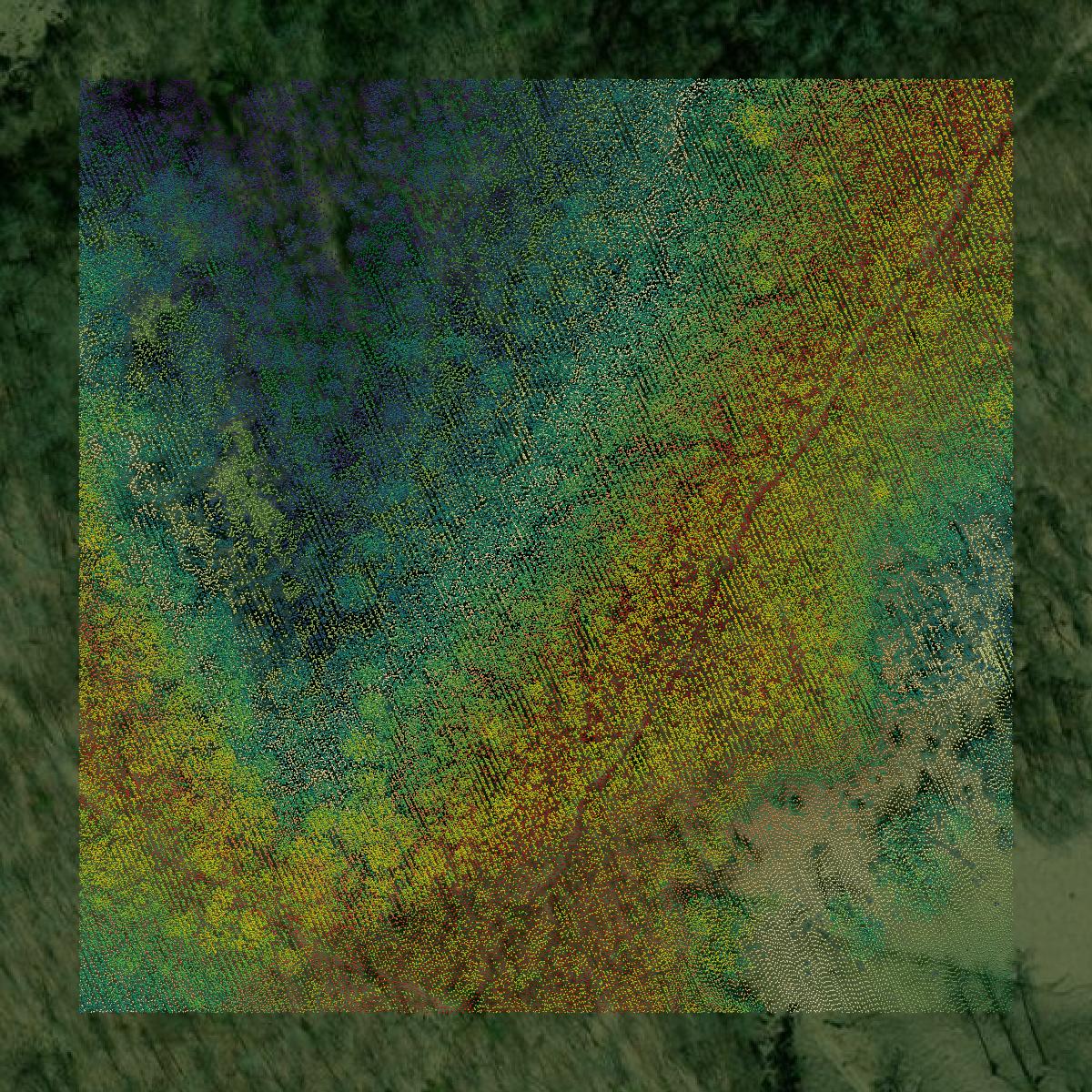 This image shows a LiDAR point cloud in Knox County created using GIS data in Equator.