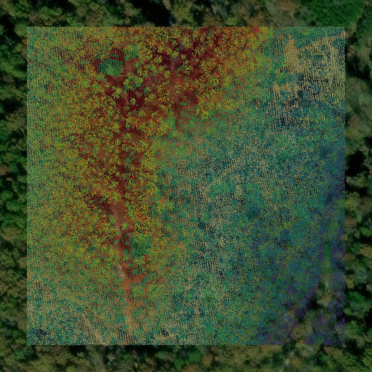 This image shows a LiDAR point cloud in Lee County created using GIS data in Equator.