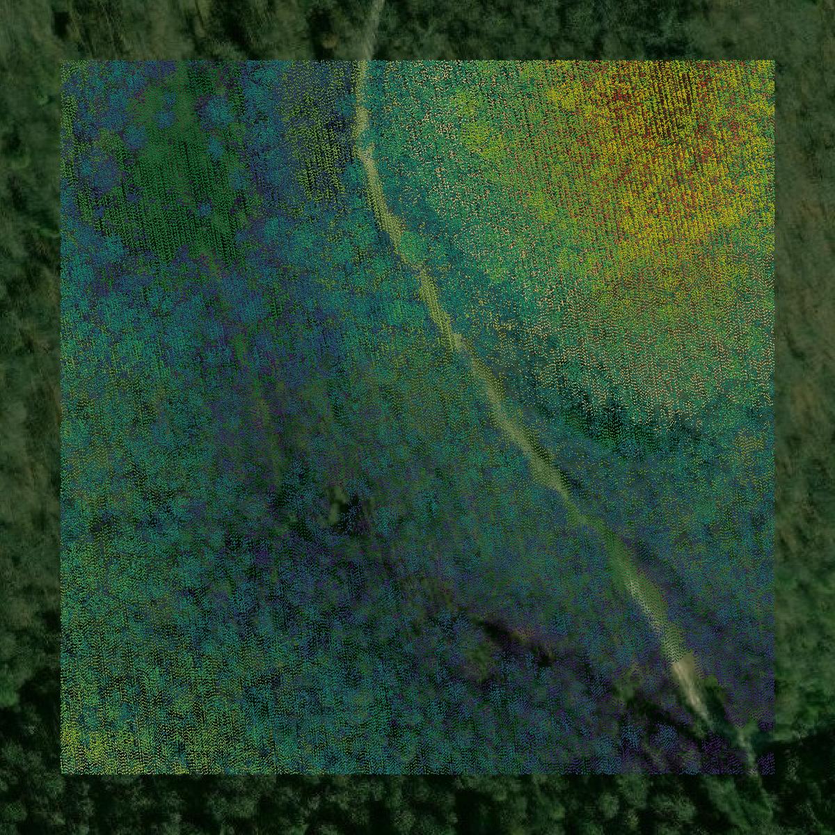 This image shows a LiDAR point cloud in Lee County created using GIS data in Equator.