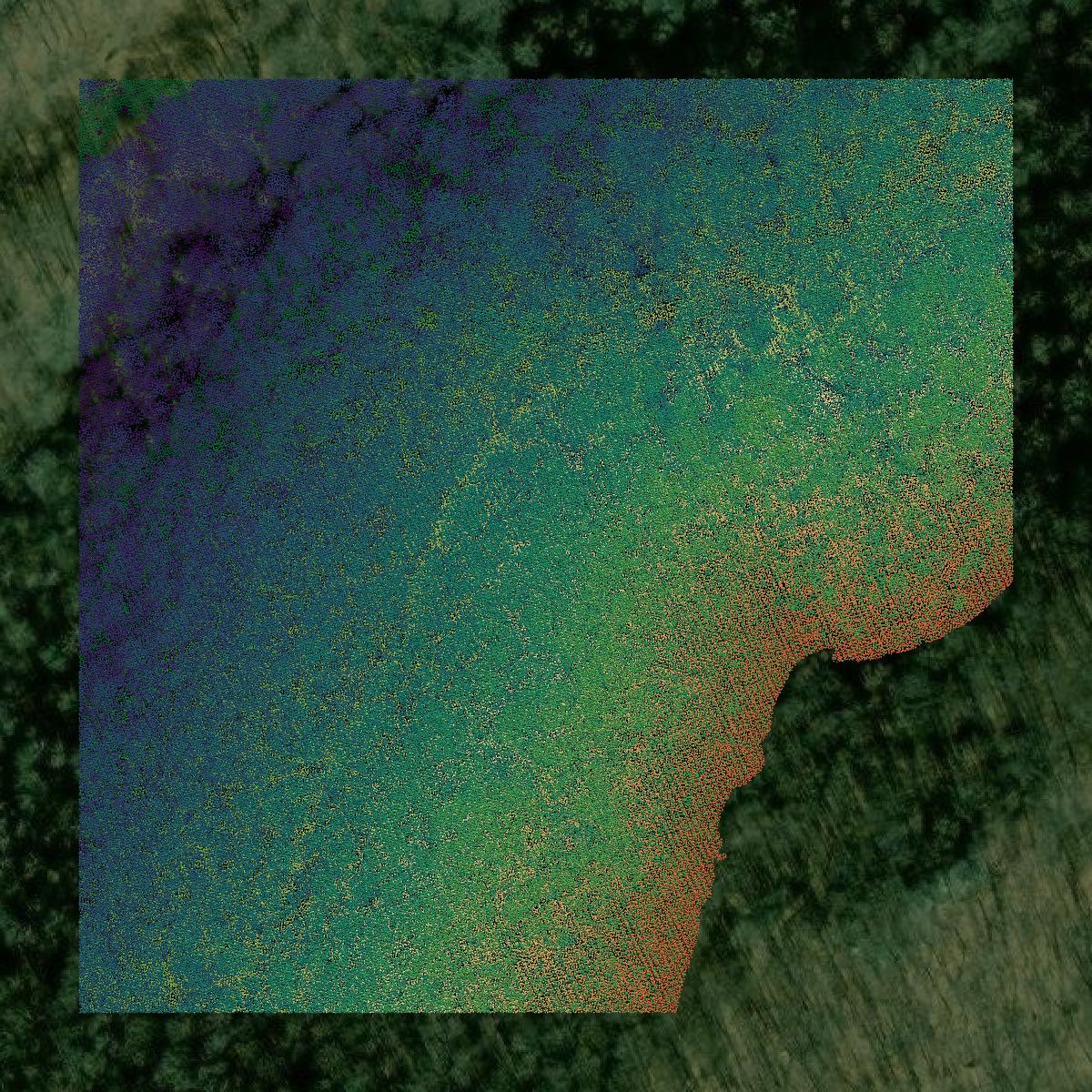 This image shows a LiDAR point cloud in Leslie County created using GIS data in Equator.