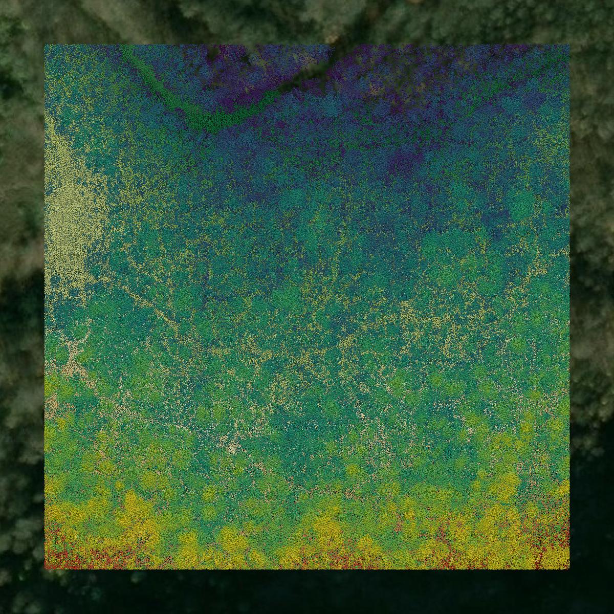 This image shows a LiDAR point cloud in Letcher County created using GIS data in Equator.