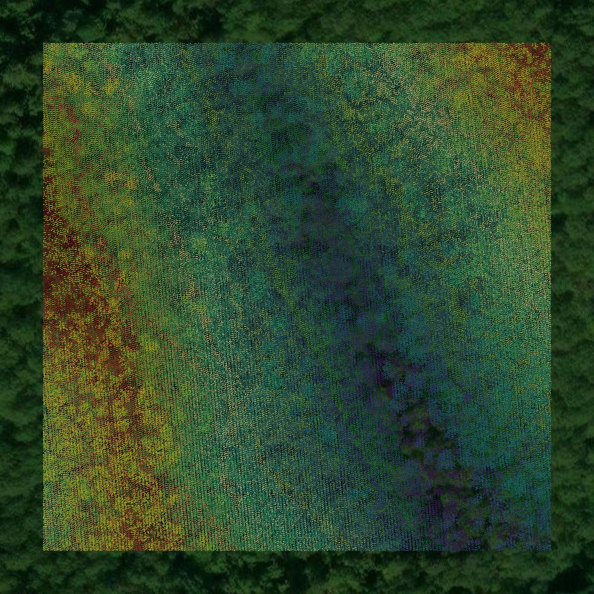 This image shows a LiDAR point cloud in Lewis County created using GIS data in Equator.