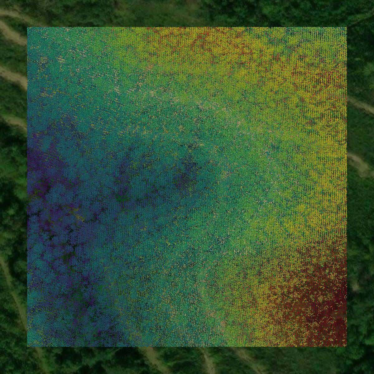 This image shows a LiDAR point cloud in Lewis County created using GIS data in Equator.