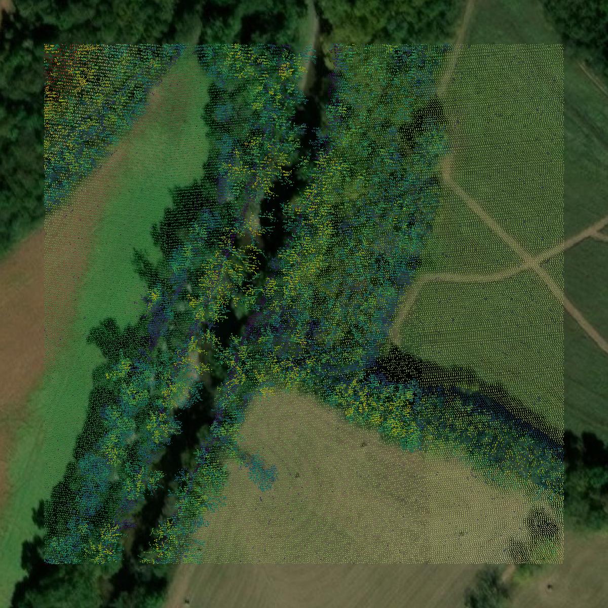 This image shows a LiDAR point cloud in Lincoln County created using GIS data in Equator.