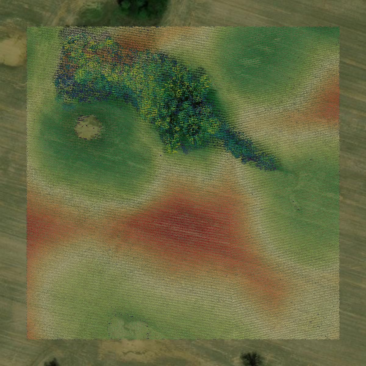 This image shows a LiDAR point cloud in Livingston County created using GIS data in Equator.