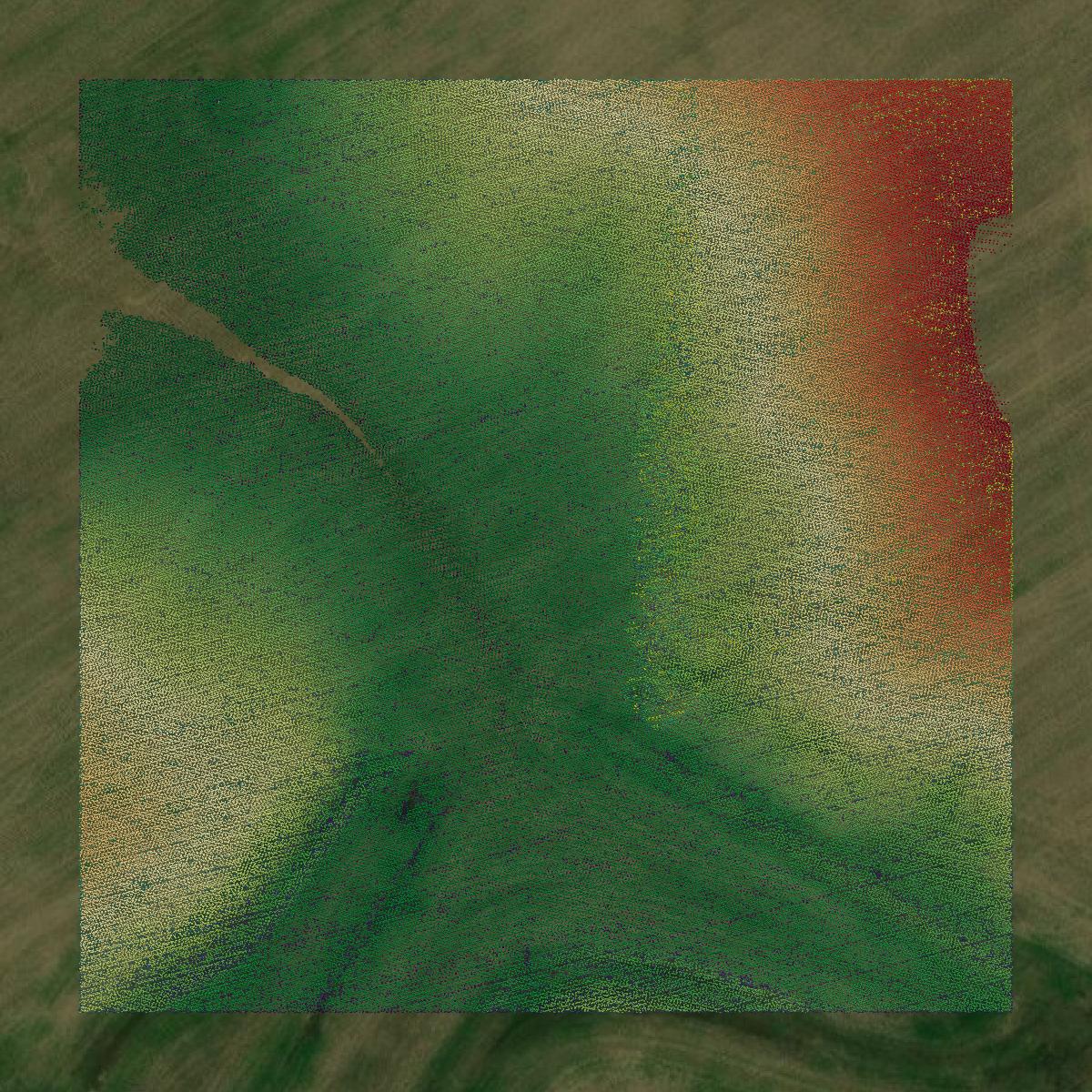 This image shows a LiDAR point cloud in Lyon County created using GIS data in Equator.