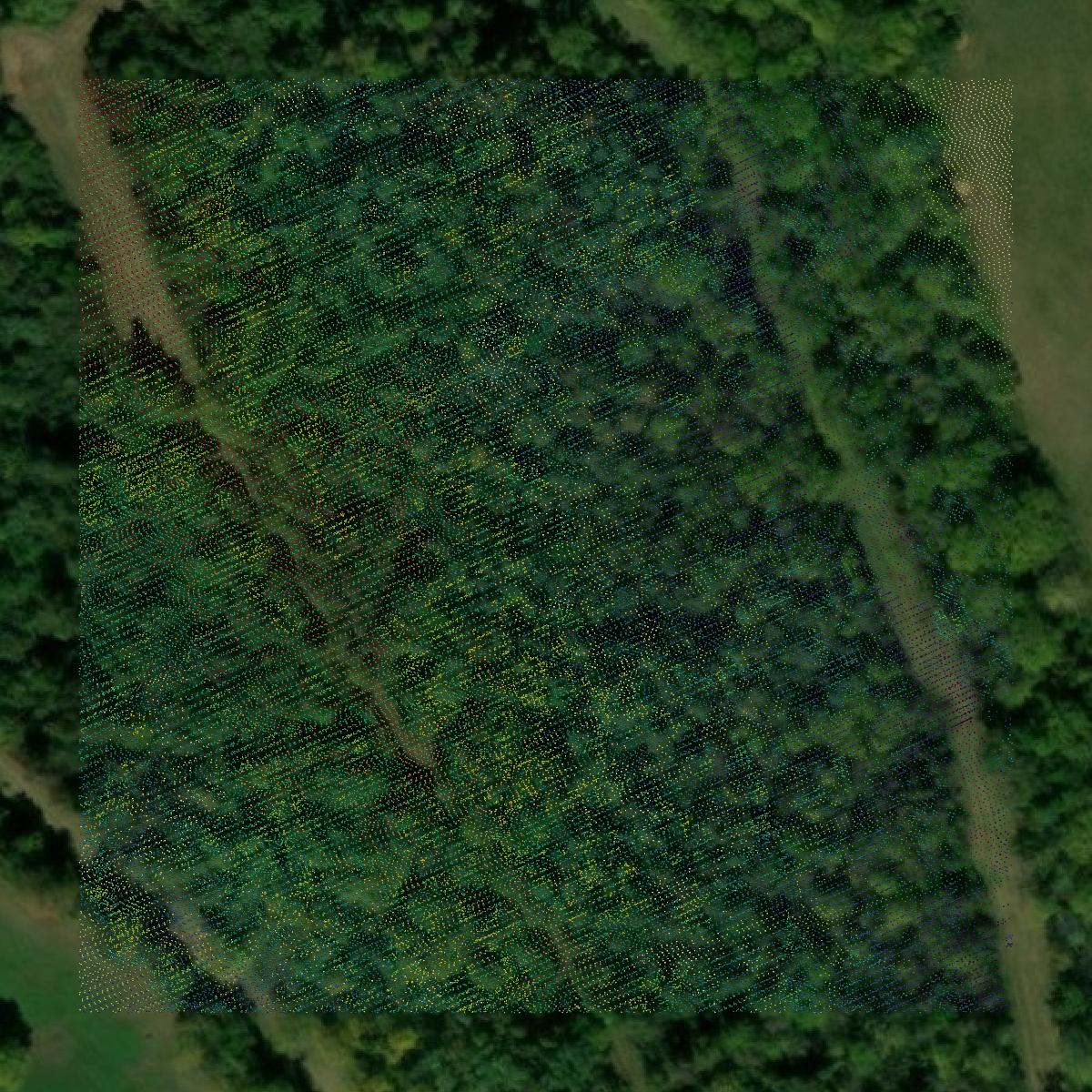 This image shows a LiDAR point cloud in Madison County created using GIS data in Equator.