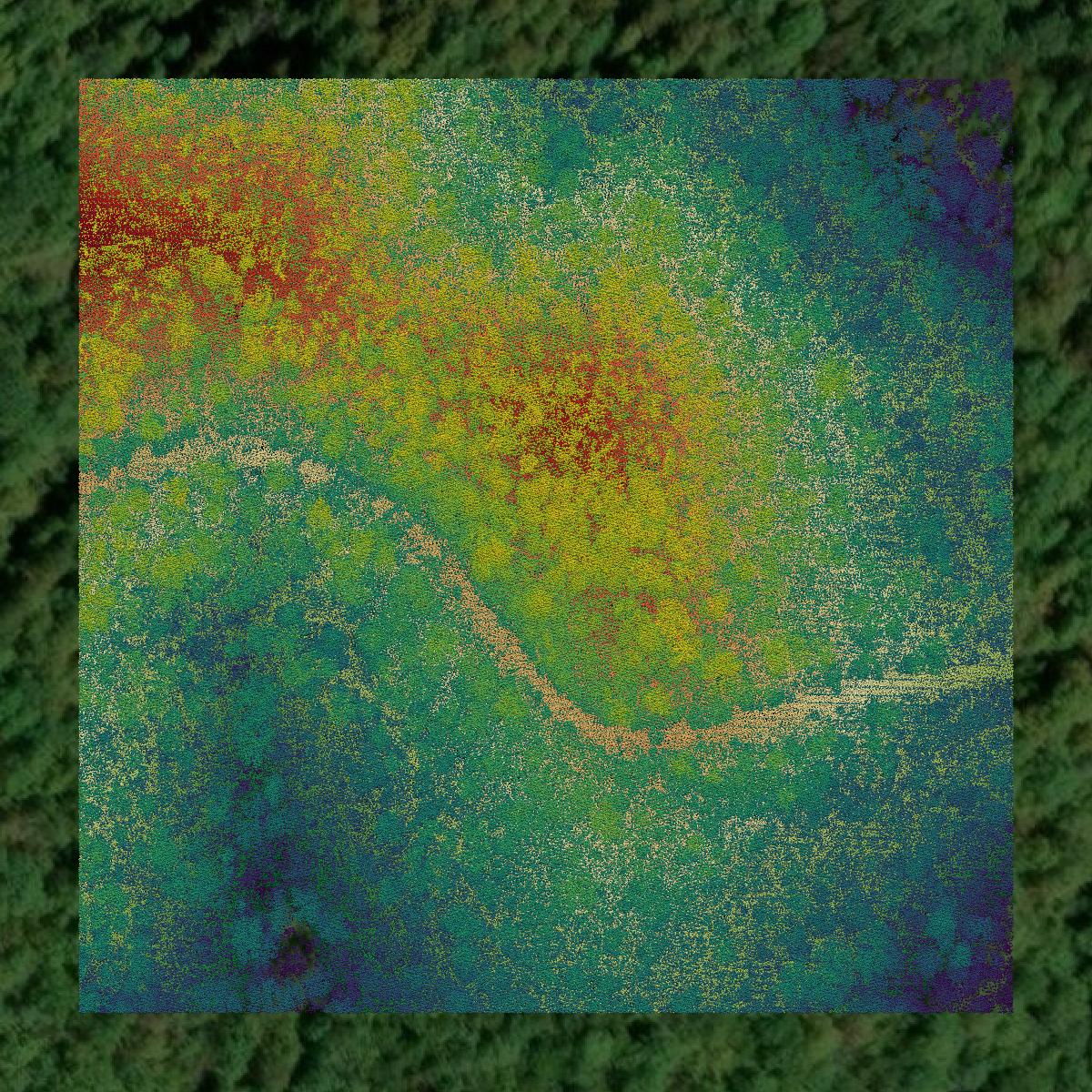 This image shows a LiDAR point cloud in Magoffin County created using GIS data in Equator.