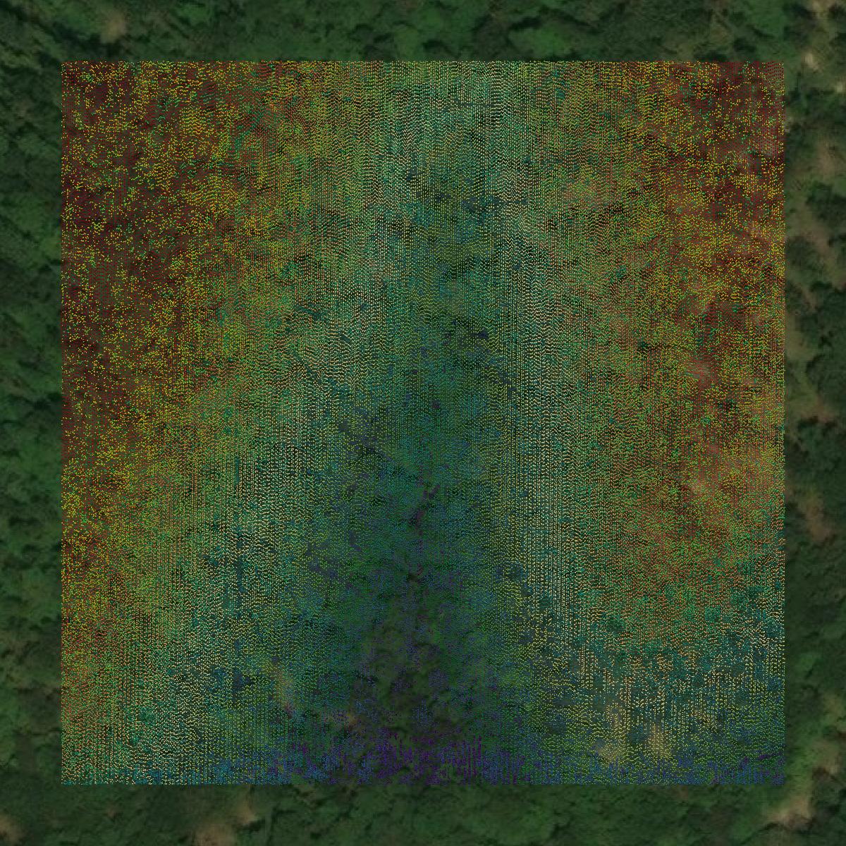This image shows a LiDAR point cloud in Marion County created using GIS data in Equator.