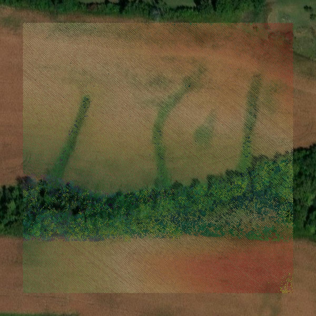 This image shows a LiDAR point cloud in Marion County created using GIS data in Equator.