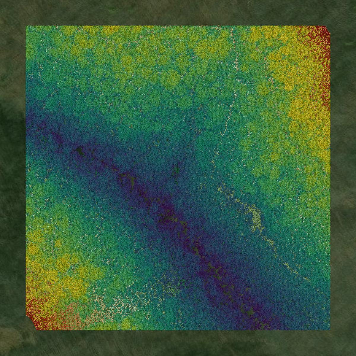 This image shows a LiDAR point cloud in Martin County created using GIS data in Equator.