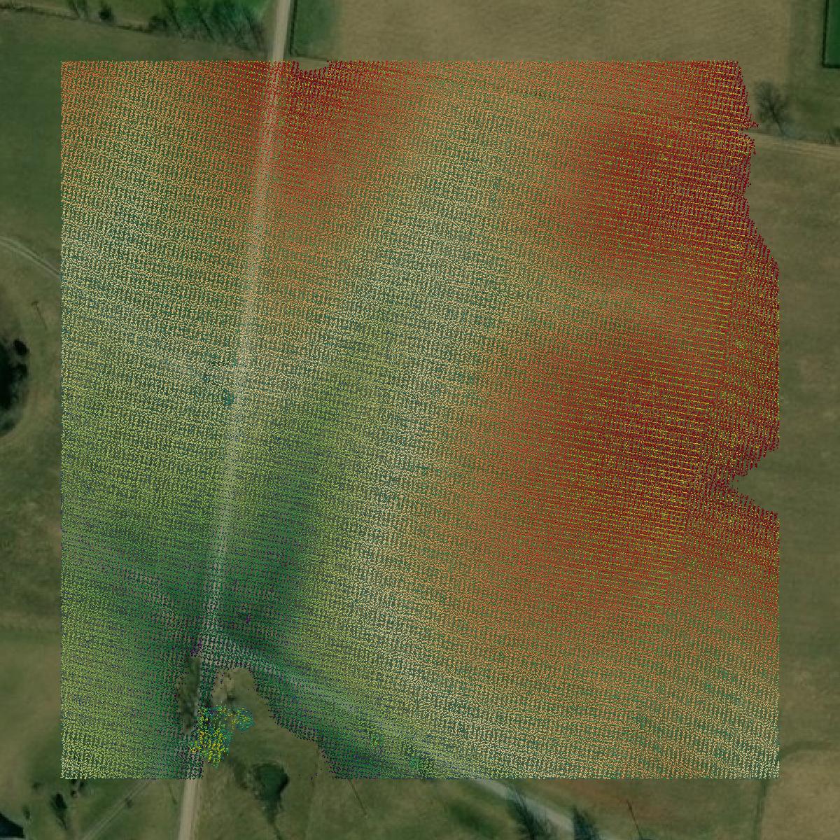 This image shows a LiDAR point cloud in Mason County created using GIS data in Equator.